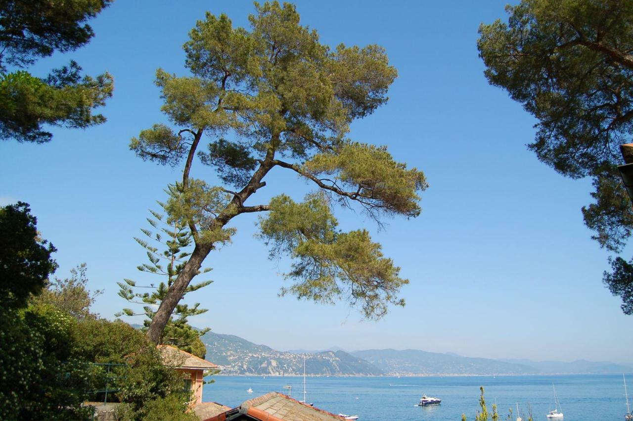 Portofino Seaview Apartment, 50 Meters From The Beach, Free Parking, Air Conditioning 帕拉基 外观 照片